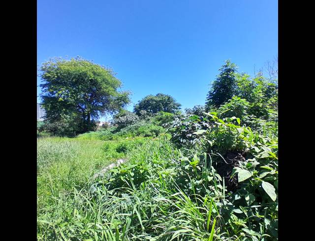 2,304M² VACANT LAND FOR SALE IN ZINNIAVILLE